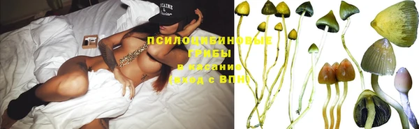 дурь Верхний Тагил