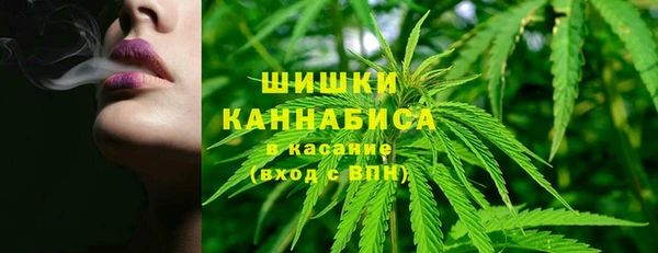 дурь Верхний Тагил